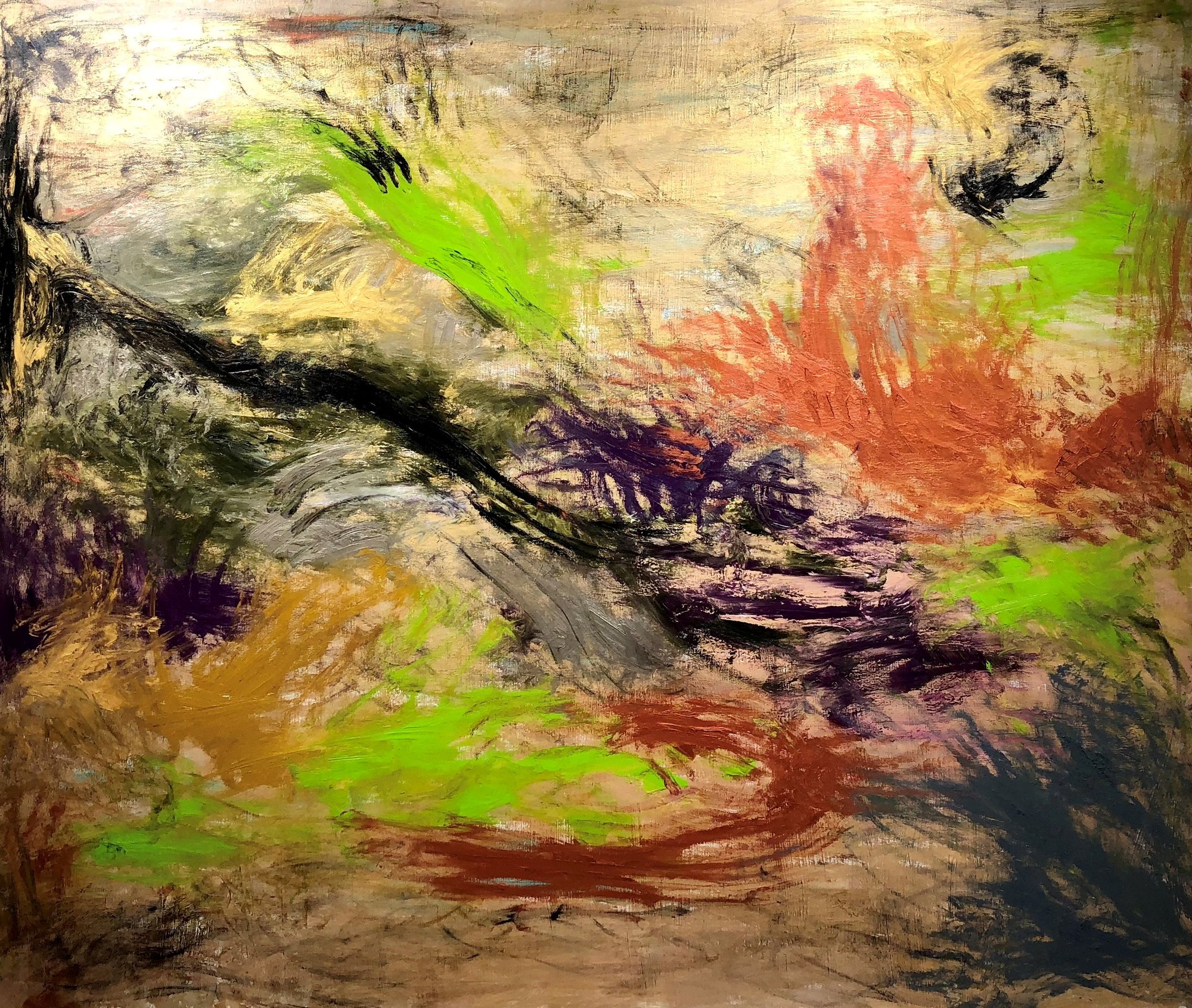 Infinite Light