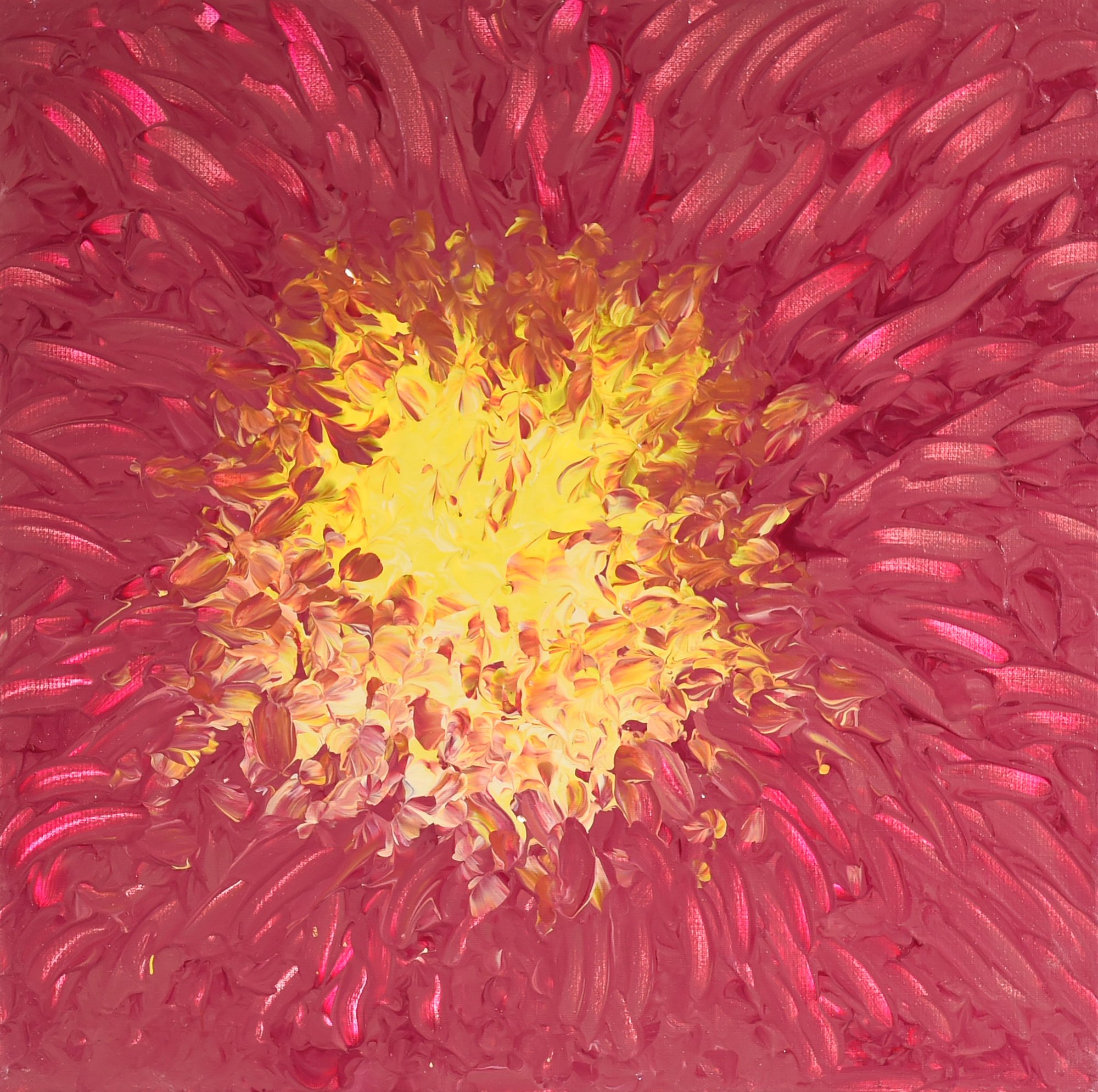Magenta Dahlia