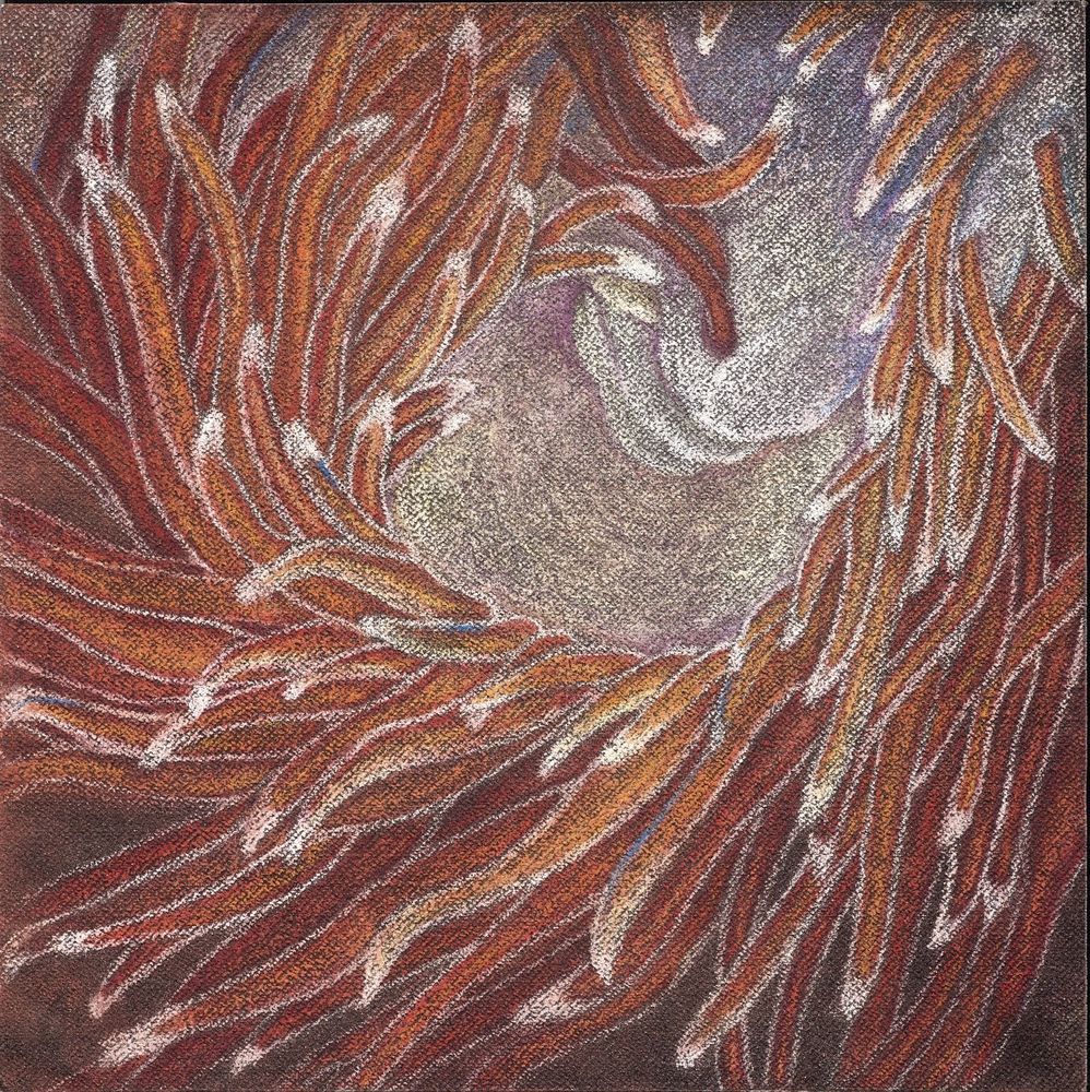 花•非花 4