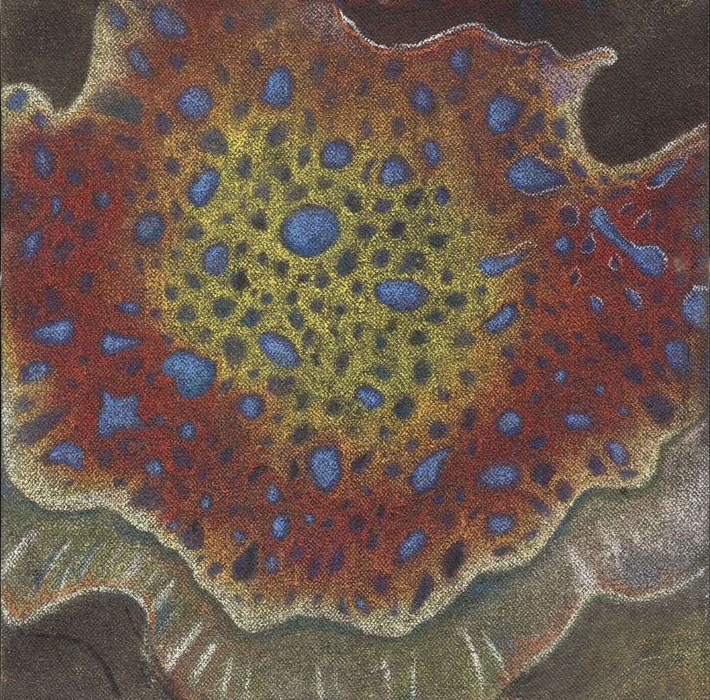 花•非花 5