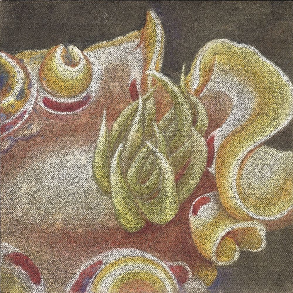 花•非花 6
