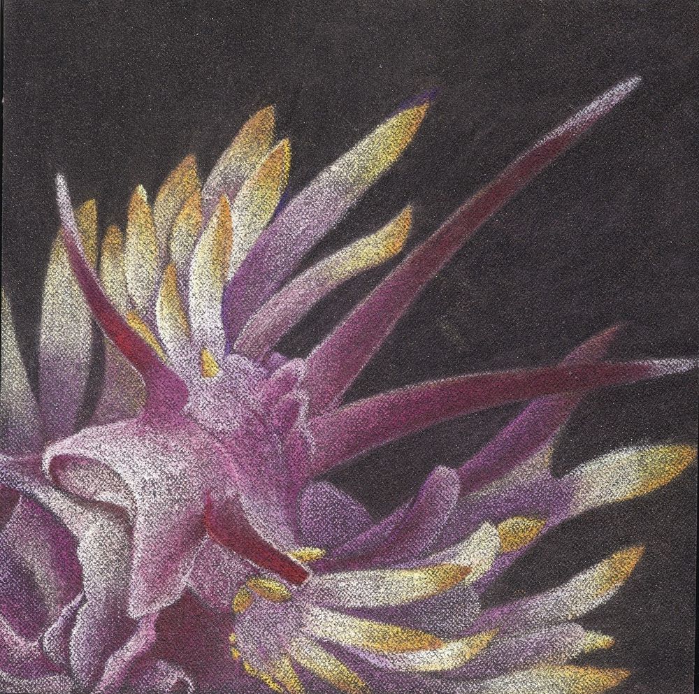 花•非花 7