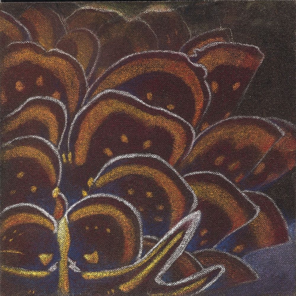 花•非花 8