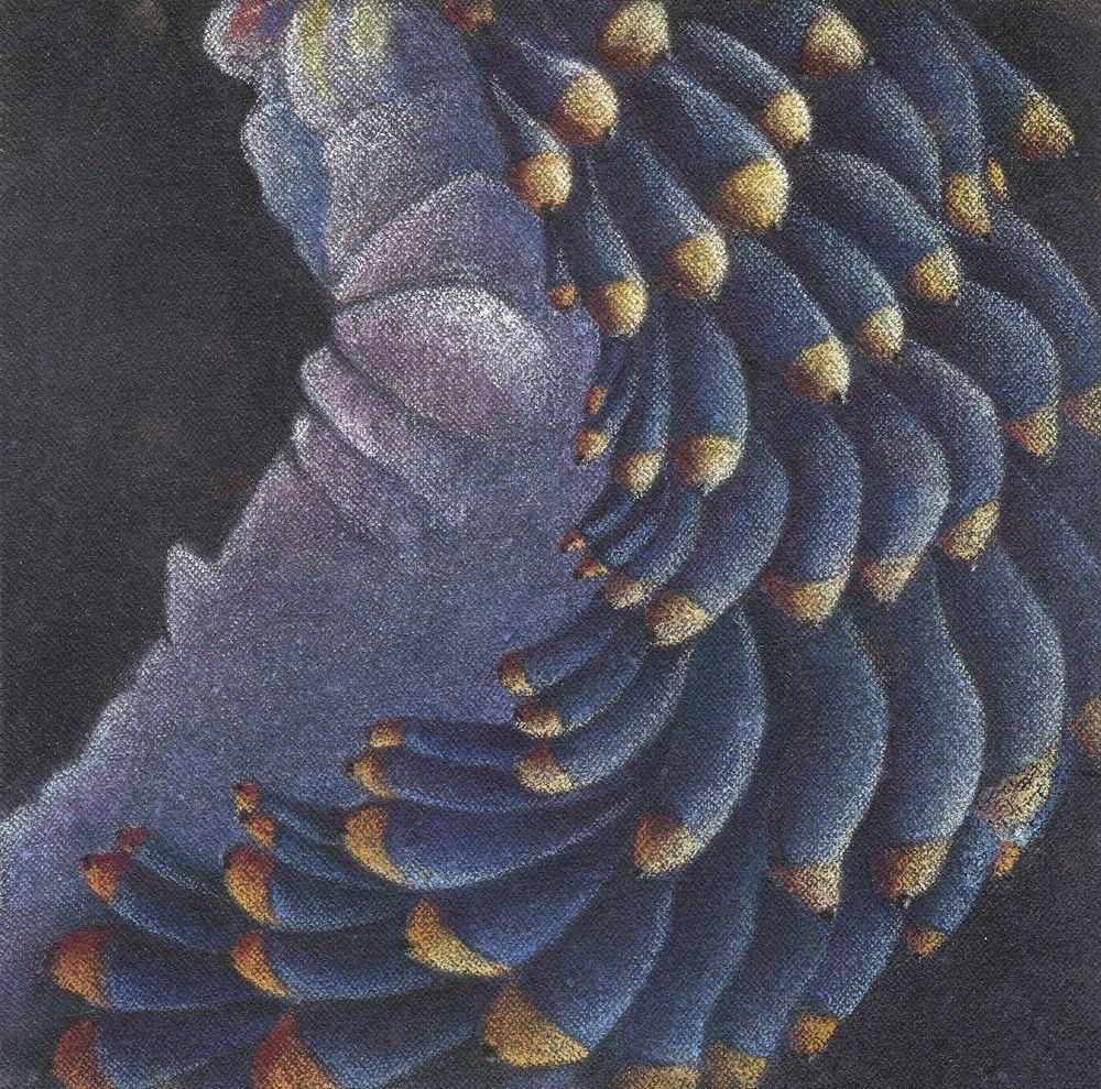 花•非花 9