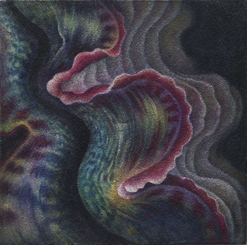 花•非花 10