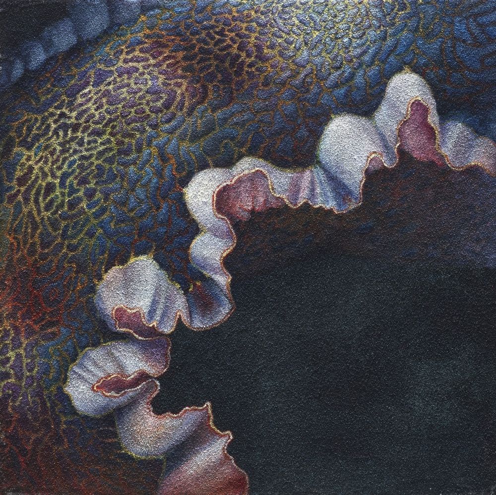花•非花 11