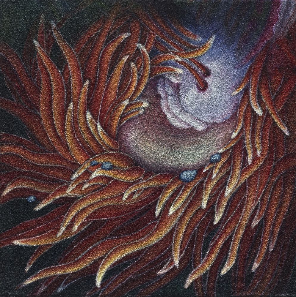 花•非花 13