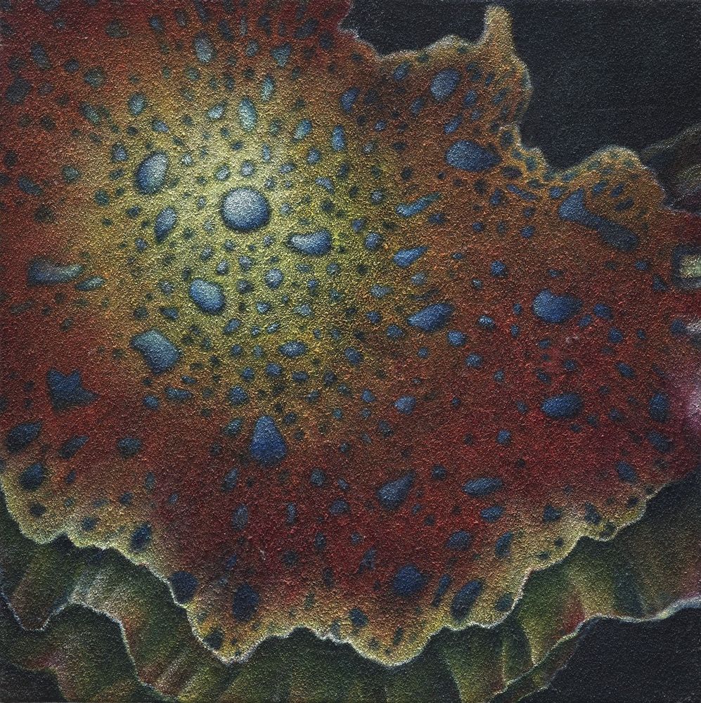 花•非花 14