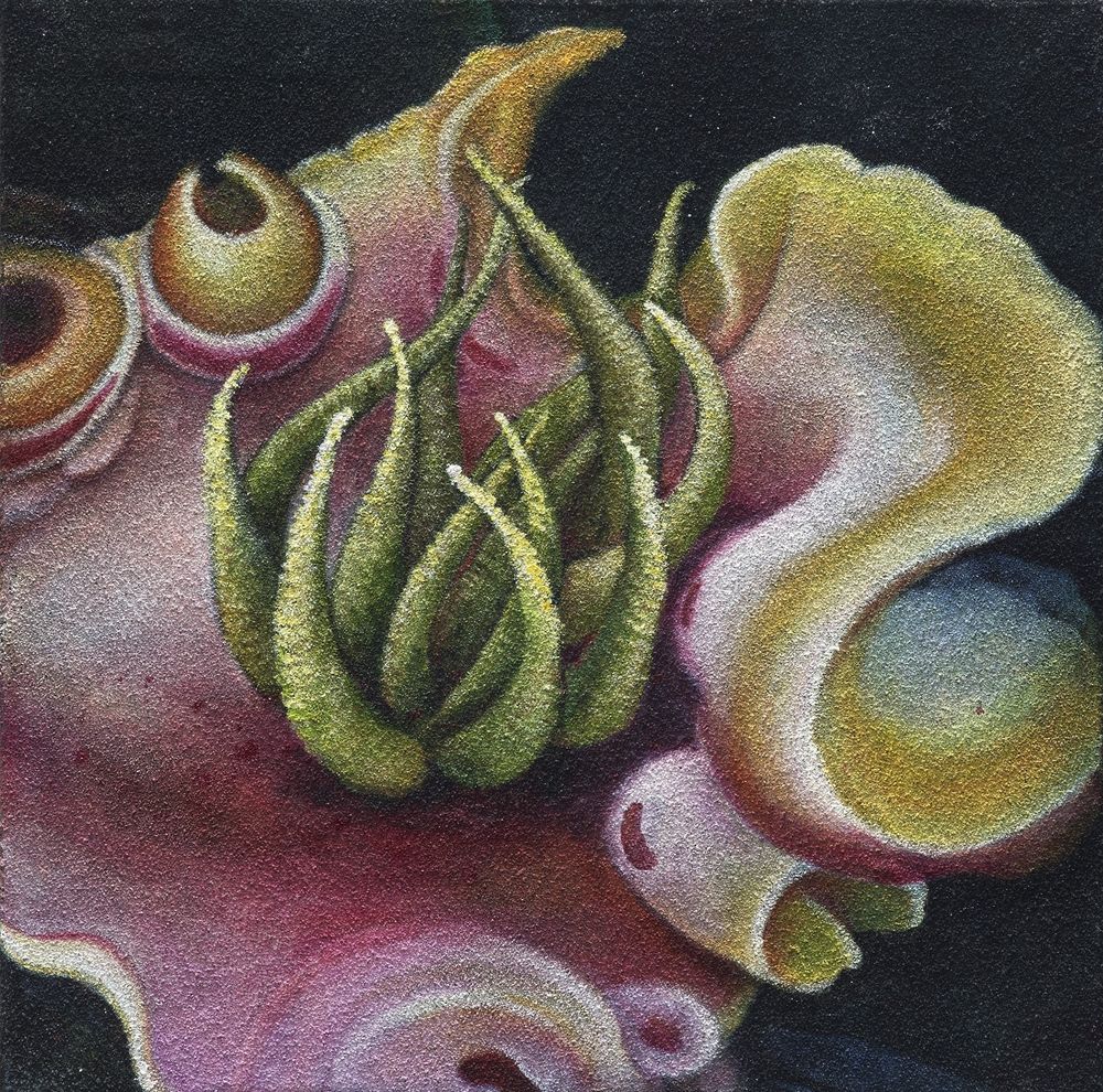 花•非花 15