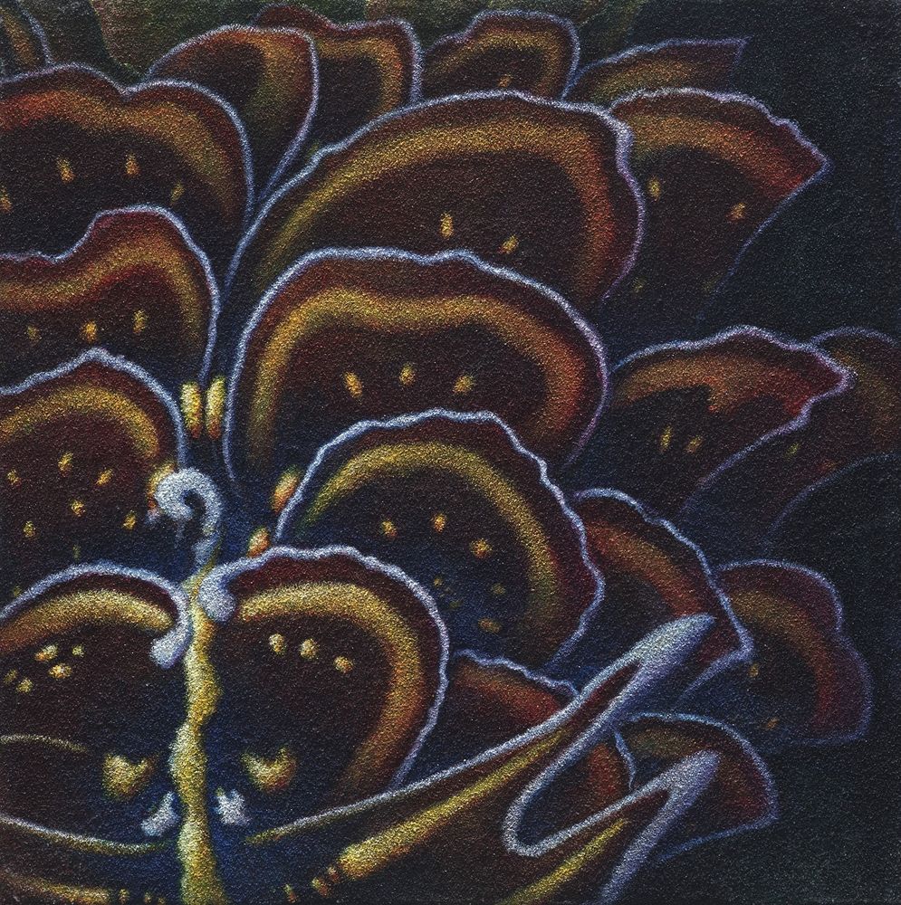 花•非花 17