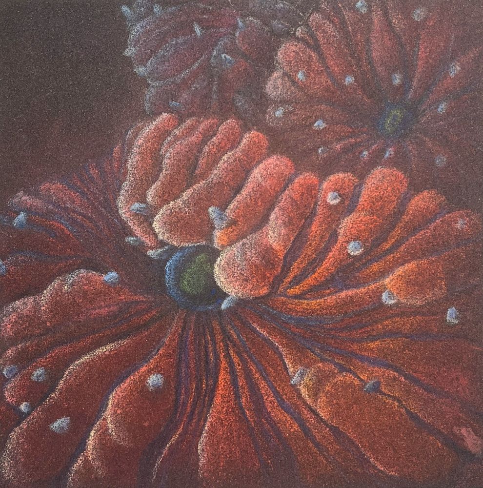 花•非花 21
