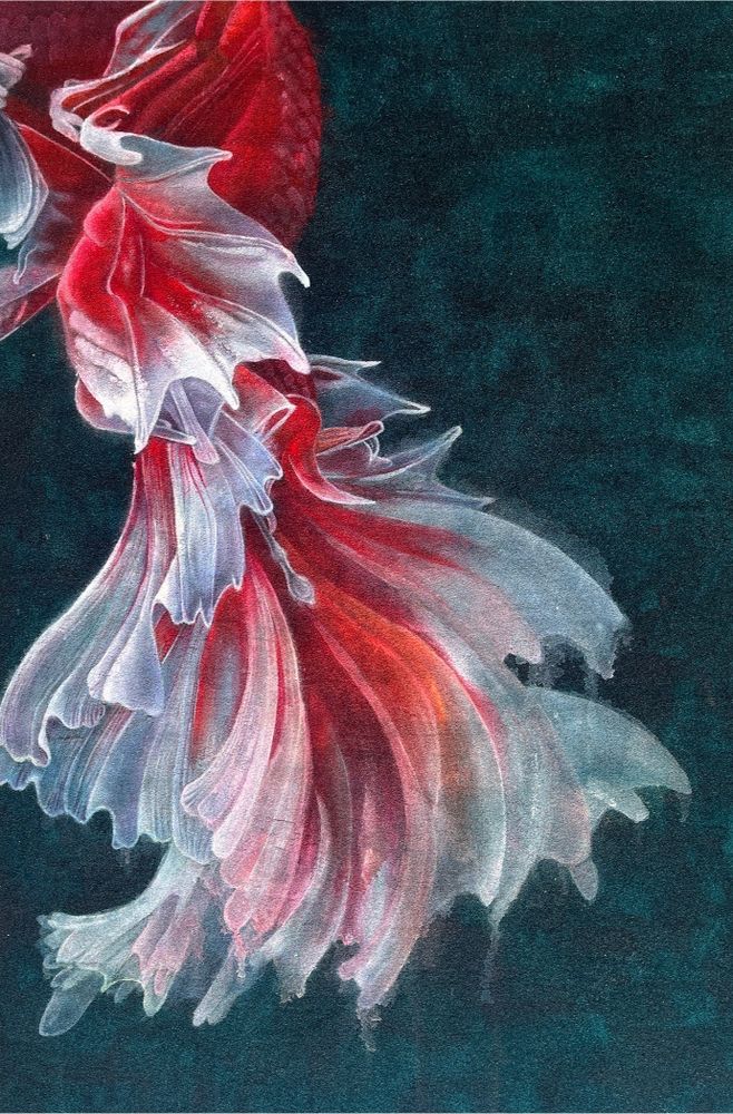 花•非花27