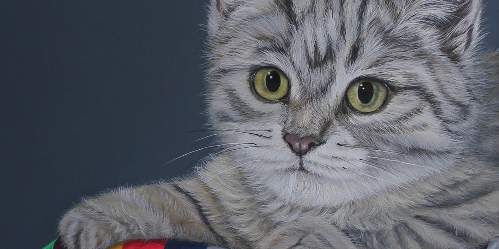 Cat Art Show