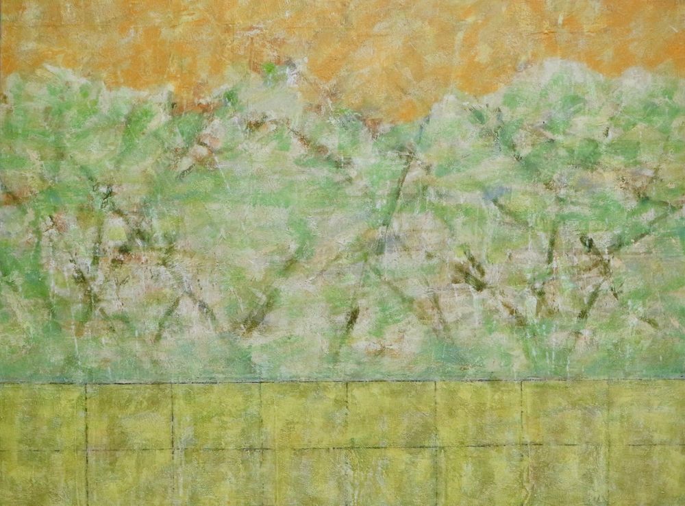 Spring Scenery After the Rain